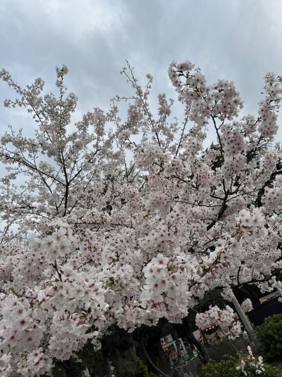 気持ちが大事
