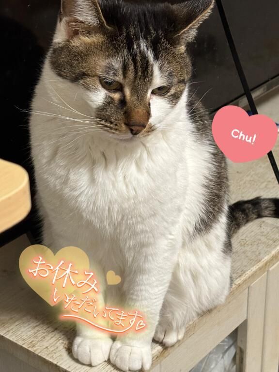 こんばんは&#127771;