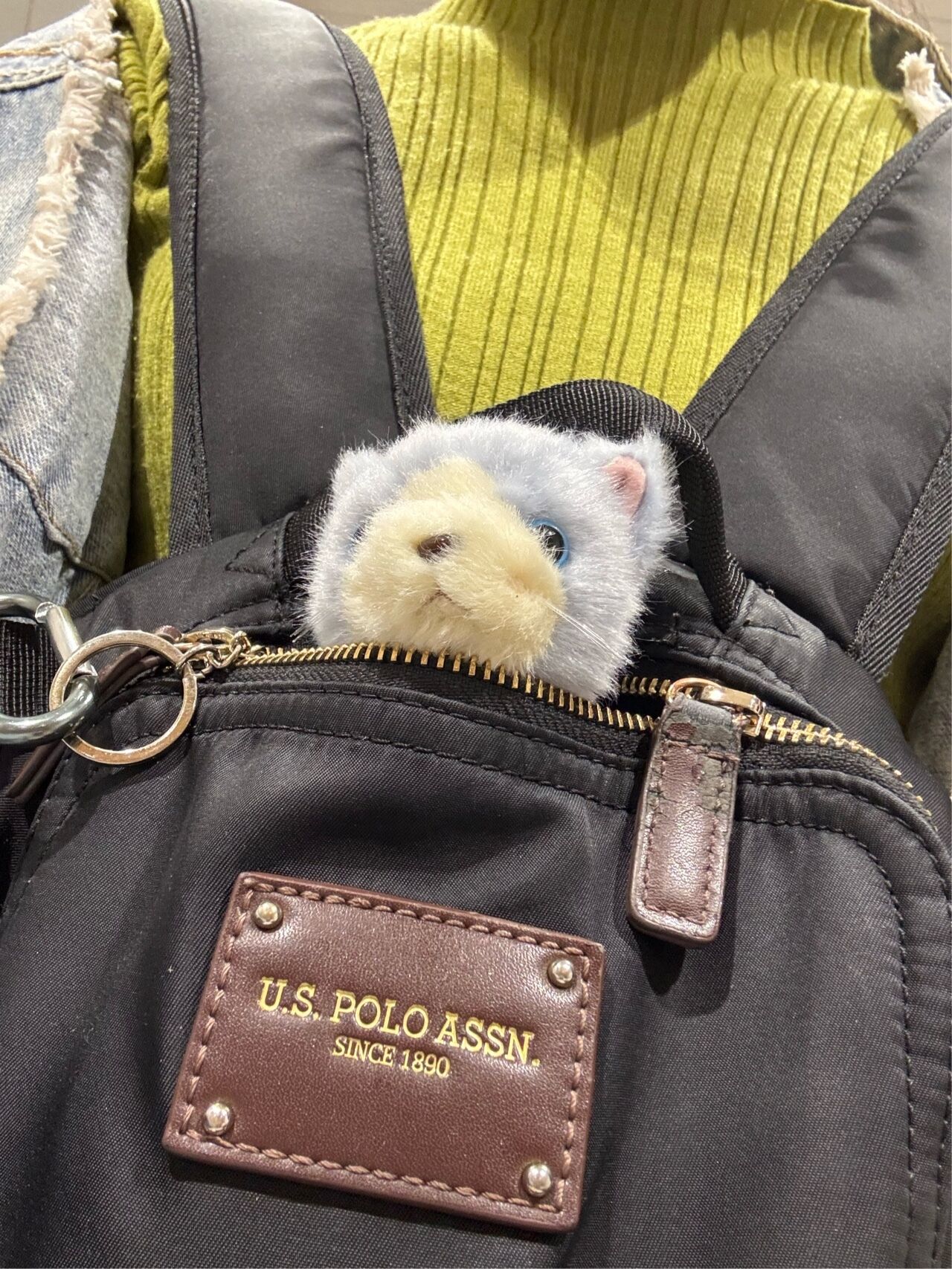 イメージ