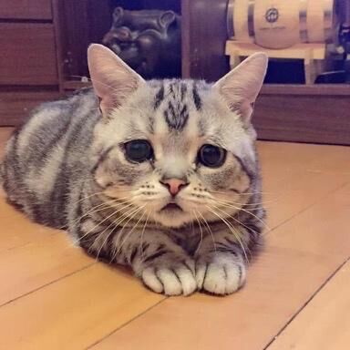 朝イチのお兄様へ&#128583;&#127995;&zwj;♀&#65039;