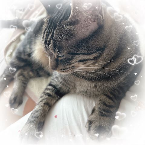 おはよう&#9825;