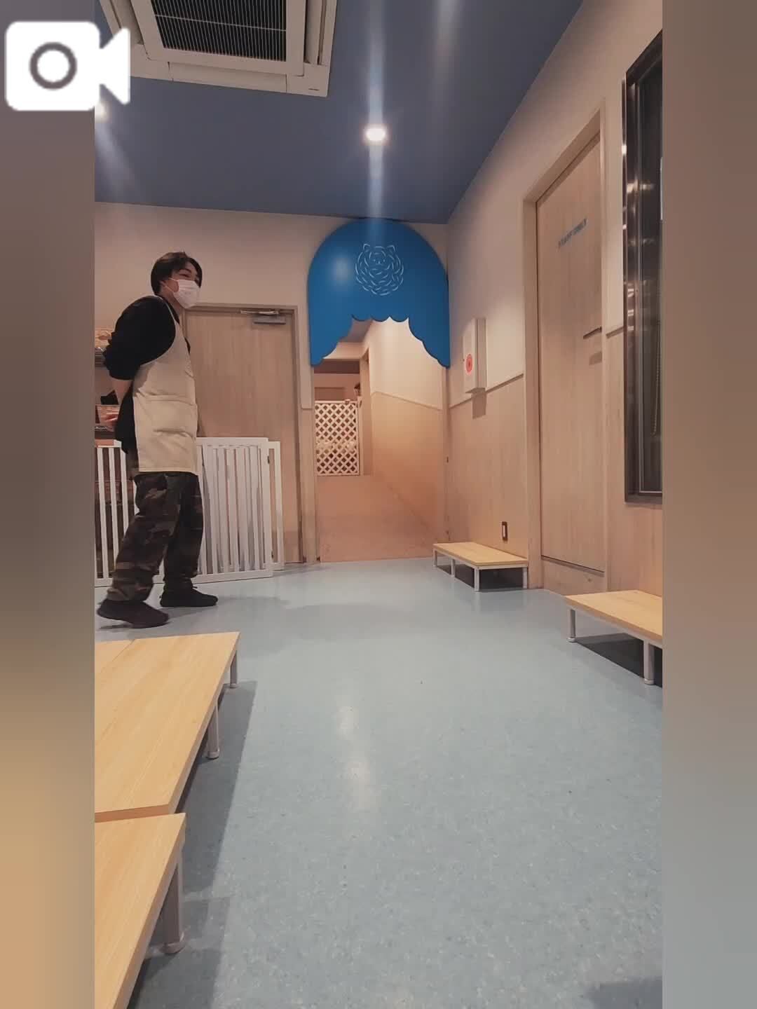 サモエド&#128021;&#65039;