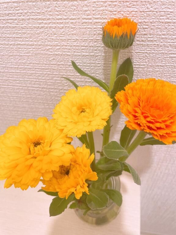 17日iさんへ