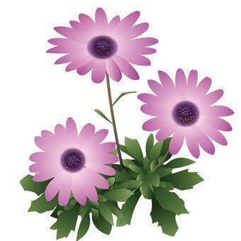4月18日(金)　19時&#x301C; 殿方様&#9825;