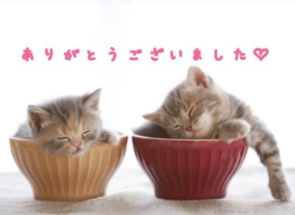 お礼&#9825;