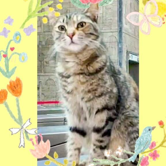 冷房＼(^o^)／がんがん（笑）