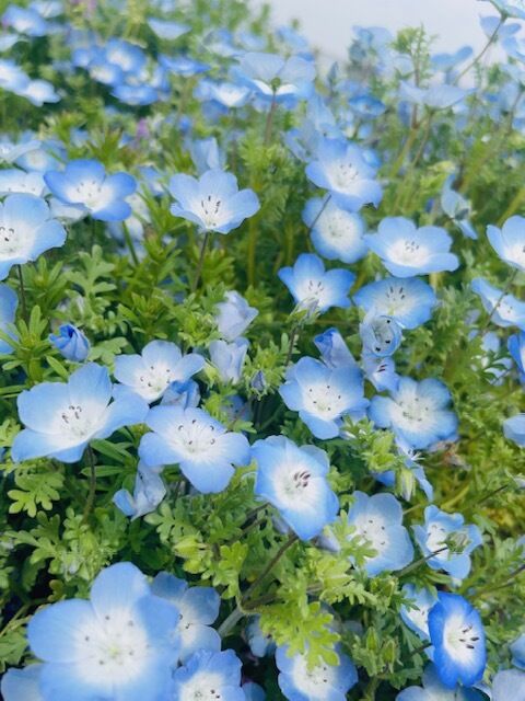 ご予約ありがとう&#9825;