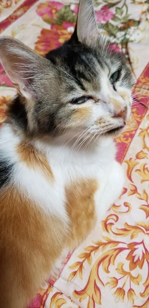 こんにちは(&#9825;≧&#9825;▽&#9825;≦&#9825;)