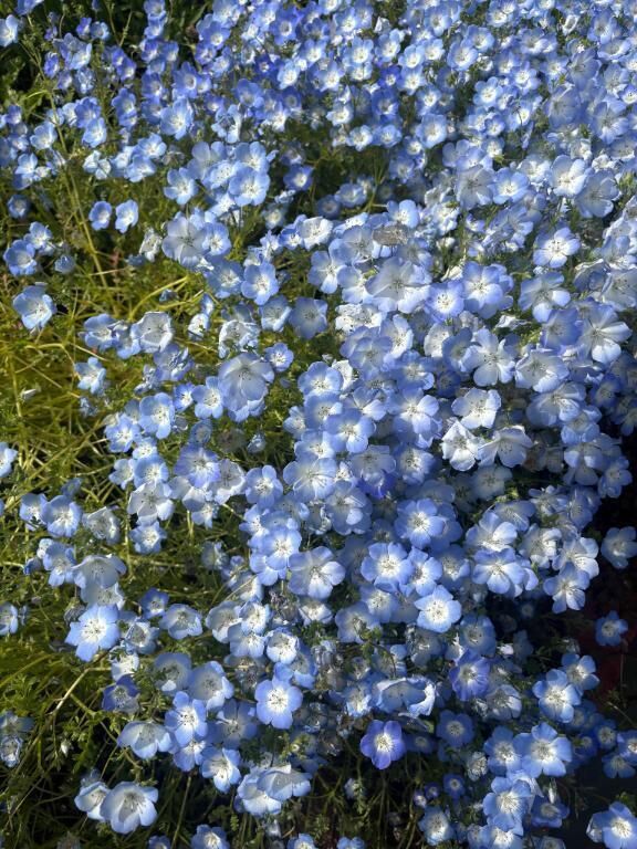 お散歩してたら発見&#128029;