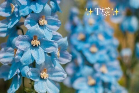 お礼状