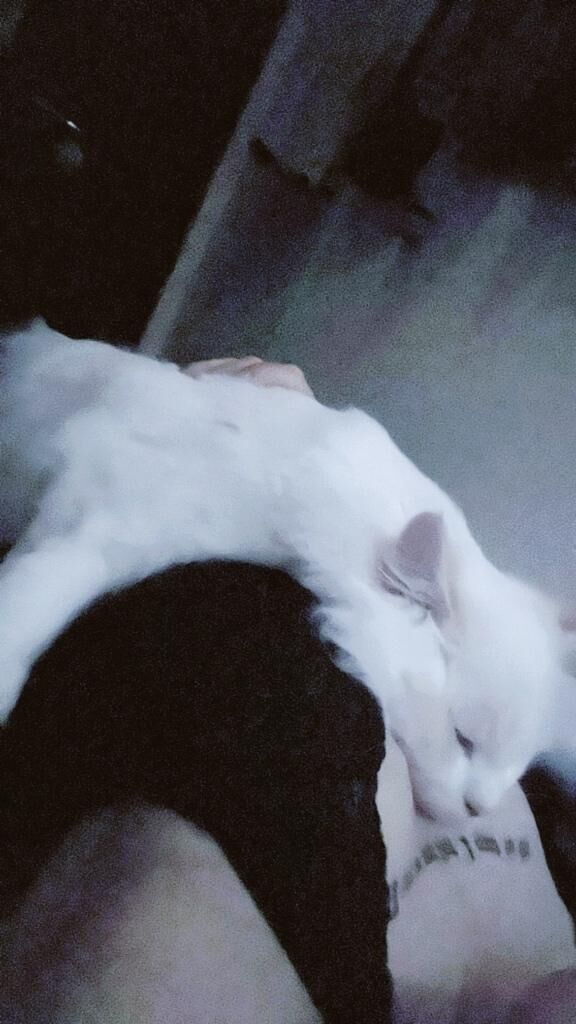 ♡