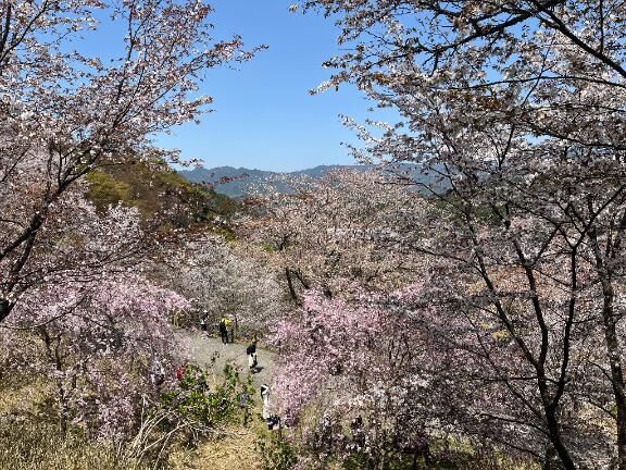 ありがとー！