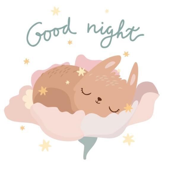 おやすみ&#129498;&#127995;&zwj;♀&#65039;&#129498;&#127995;&zwj;♀&#65039;