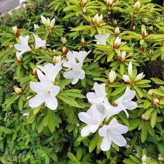 今日は昨日より