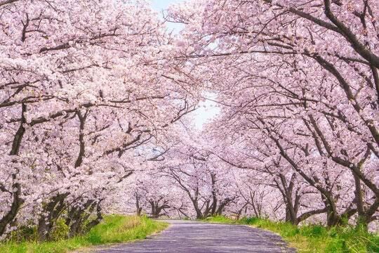 久しぶりに