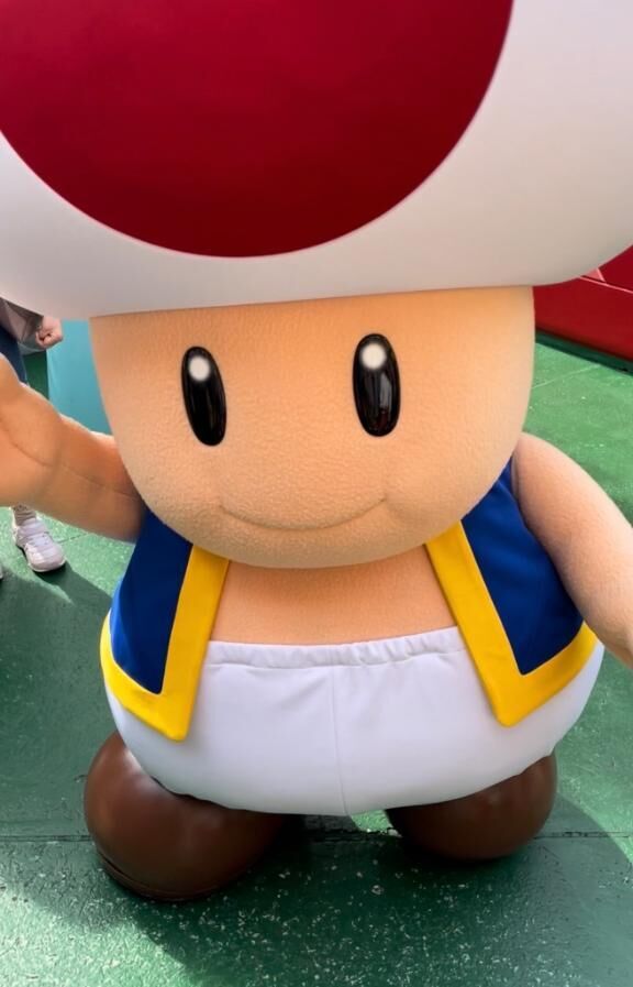 おはよう☀️