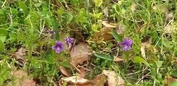 じと&#x301C;とする
