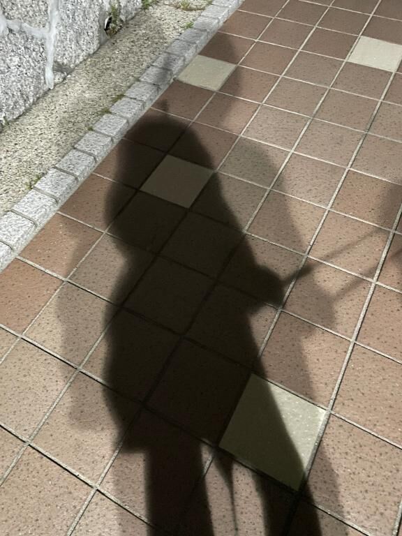 こんばんは