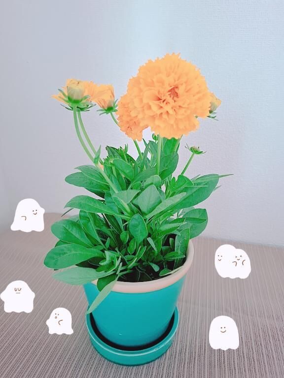 出勤してます&#9825;