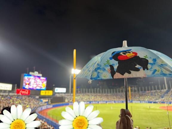 皐月賞からの神宮でした&#128048;&#9918;&#65039;&#128014;