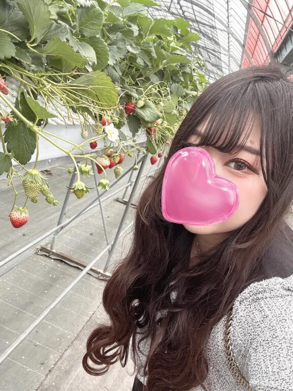 春を感じたよ&#127800;&#127827;