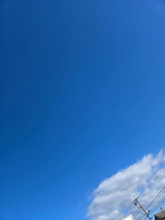 暑い日&#128562;