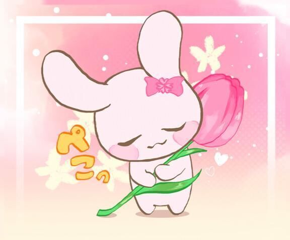 &#127873;&#10024;