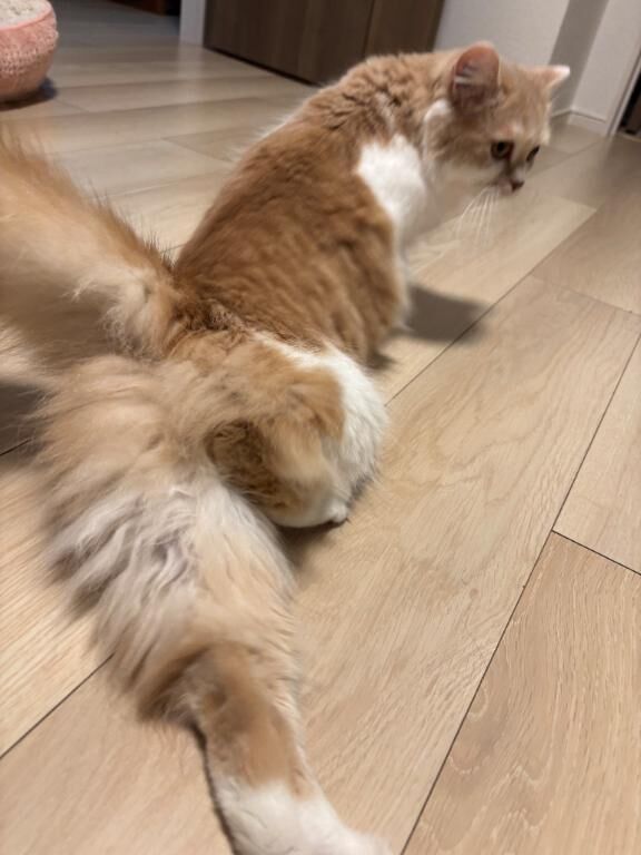AM&#9825;