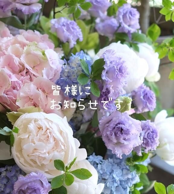 ご報告