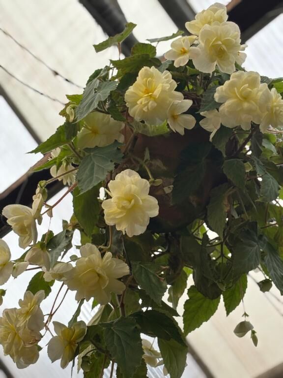4/19 14:00 アイコット&#9825;