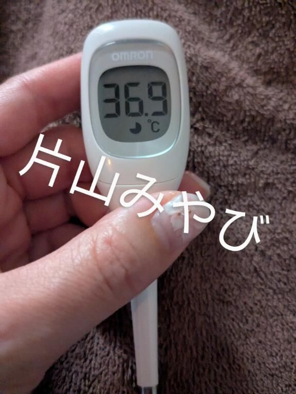 本日の体温(*´Д｀)