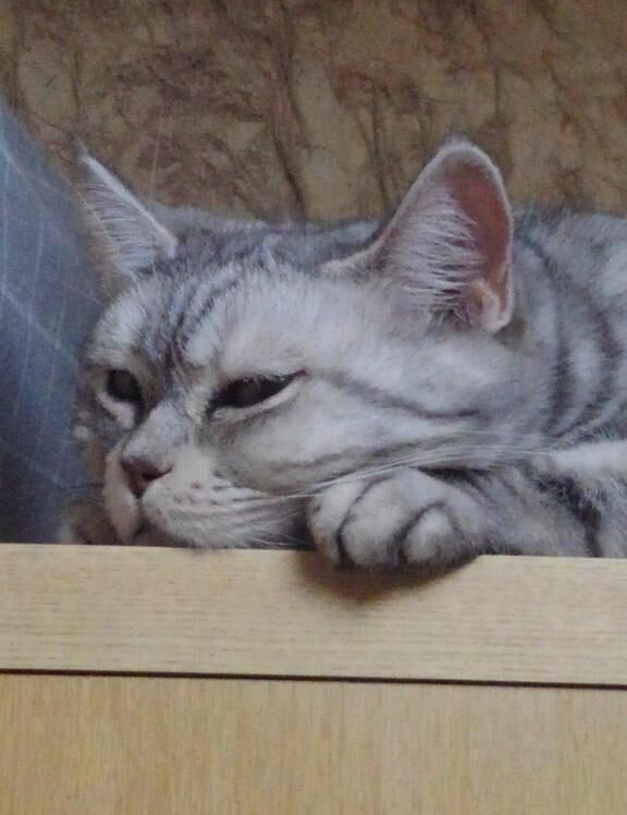 放っといてよ