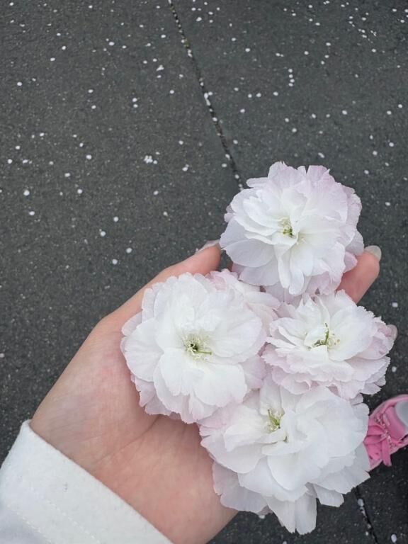 お礼&#9825;&#9825;