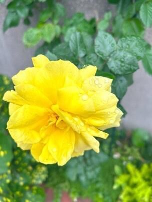 今日も、一日がおわりましたね。