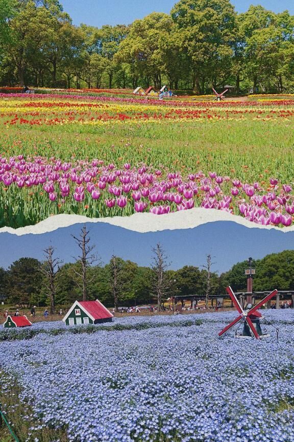 今週もよろしくお願いします♪