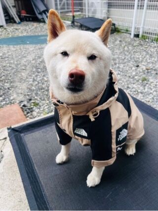 またまたやらかした（ ;  ; ）