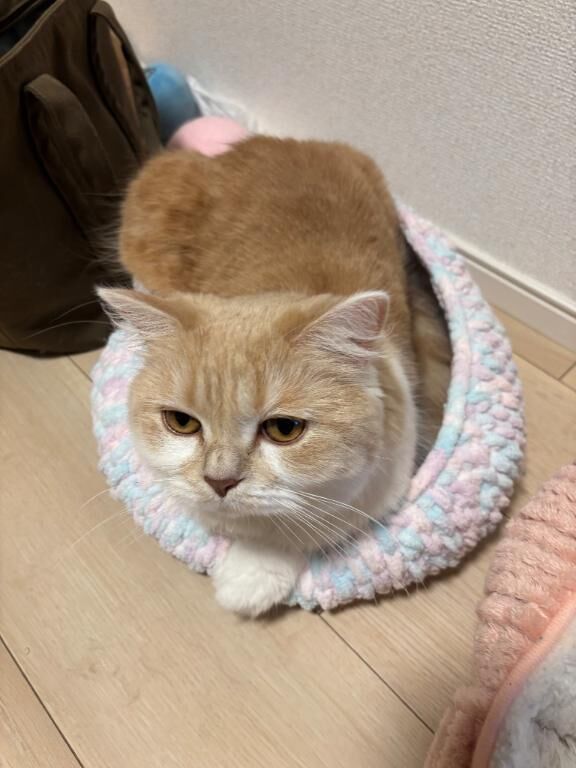 AM&#9825;