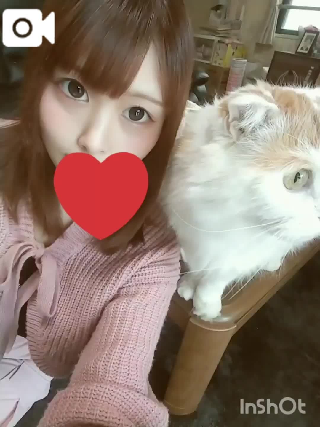&#9199;&#65039;ヌッコ&#128049;