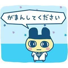 マイブーム