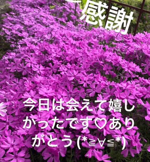 お礼です&#9825;