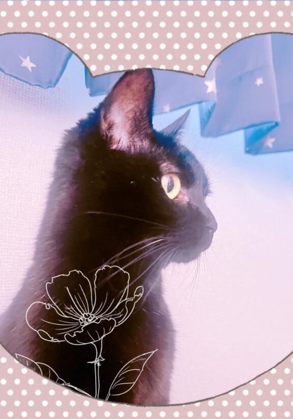 今日もありがとうございました