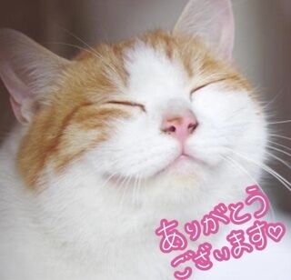 ありがとうございました(∩´∀`∩)