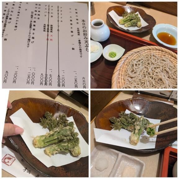 みたよ、ありがと(^^)♪