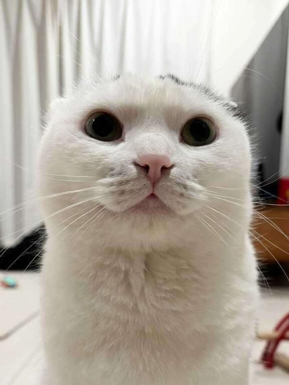 映画ざんまい&#9825;