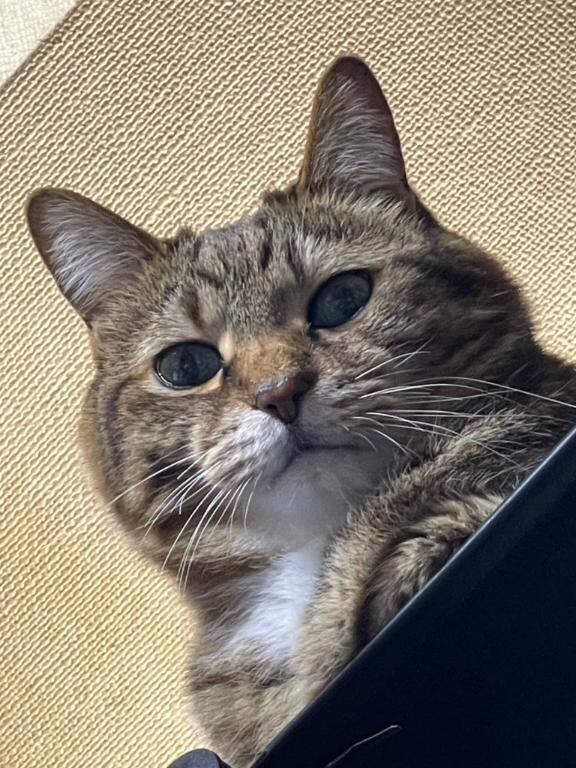 大掃除(笑)