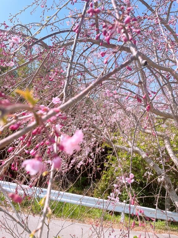21日初めましてAさんへ