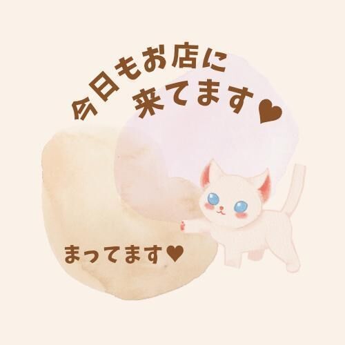 お店に来ました