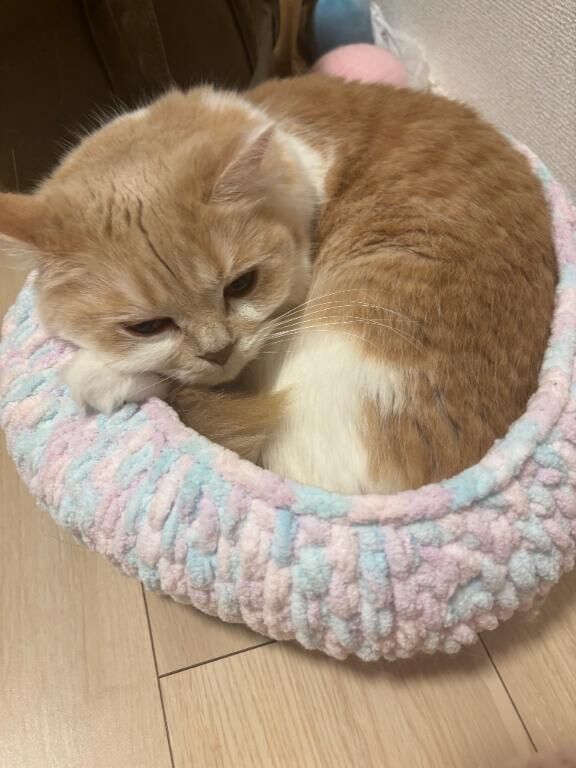 AM&#9825;