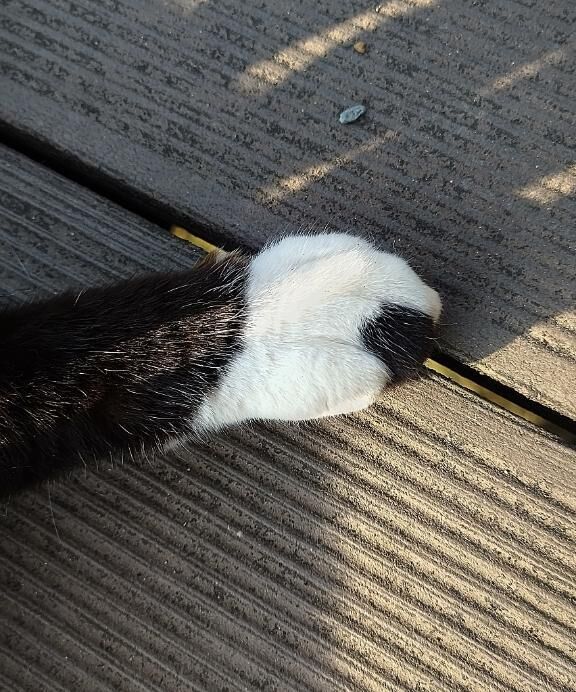 穴あき