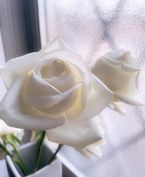 明日出勤です(*\'▽\'*)